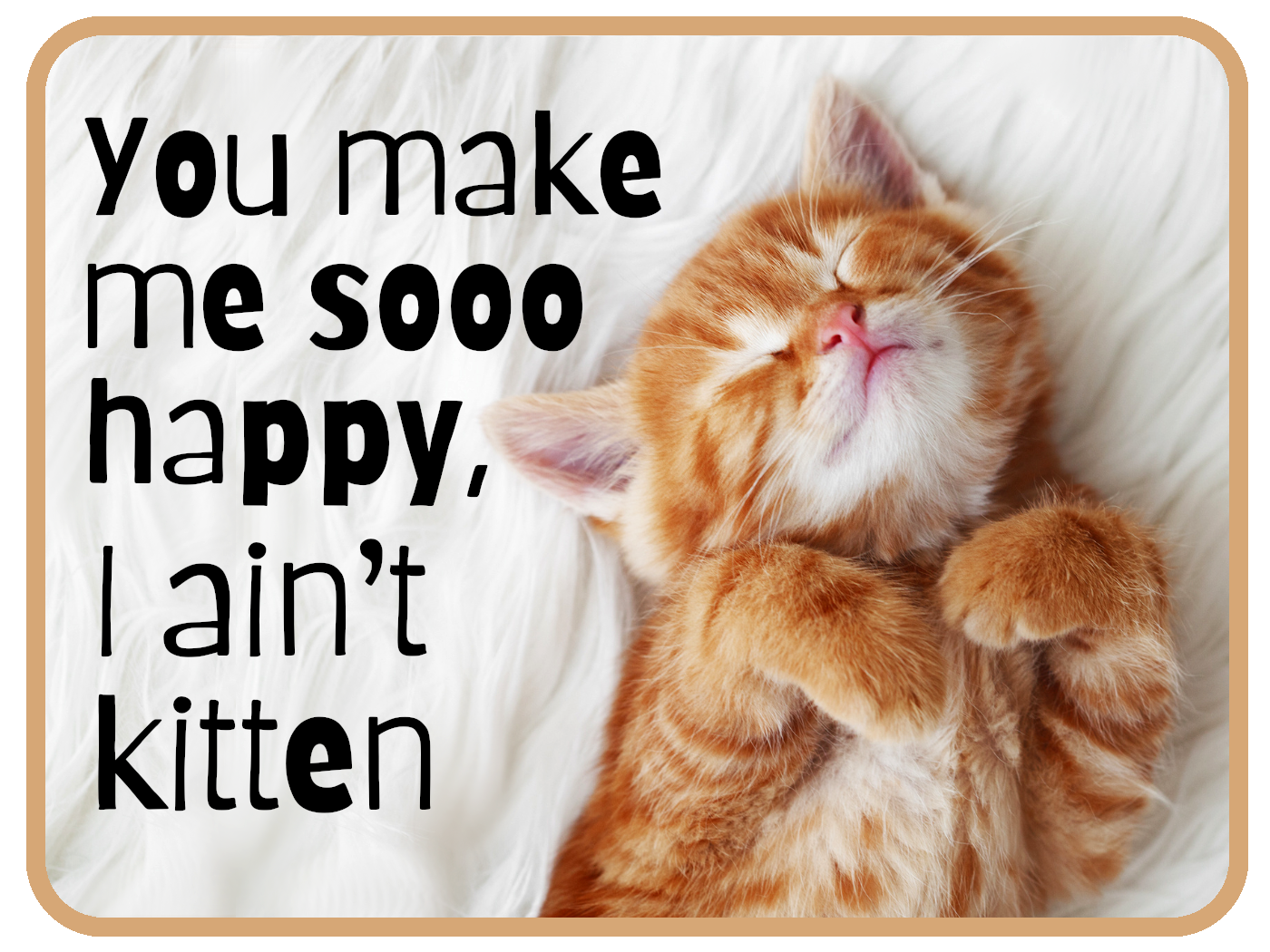 Ain't Kitten