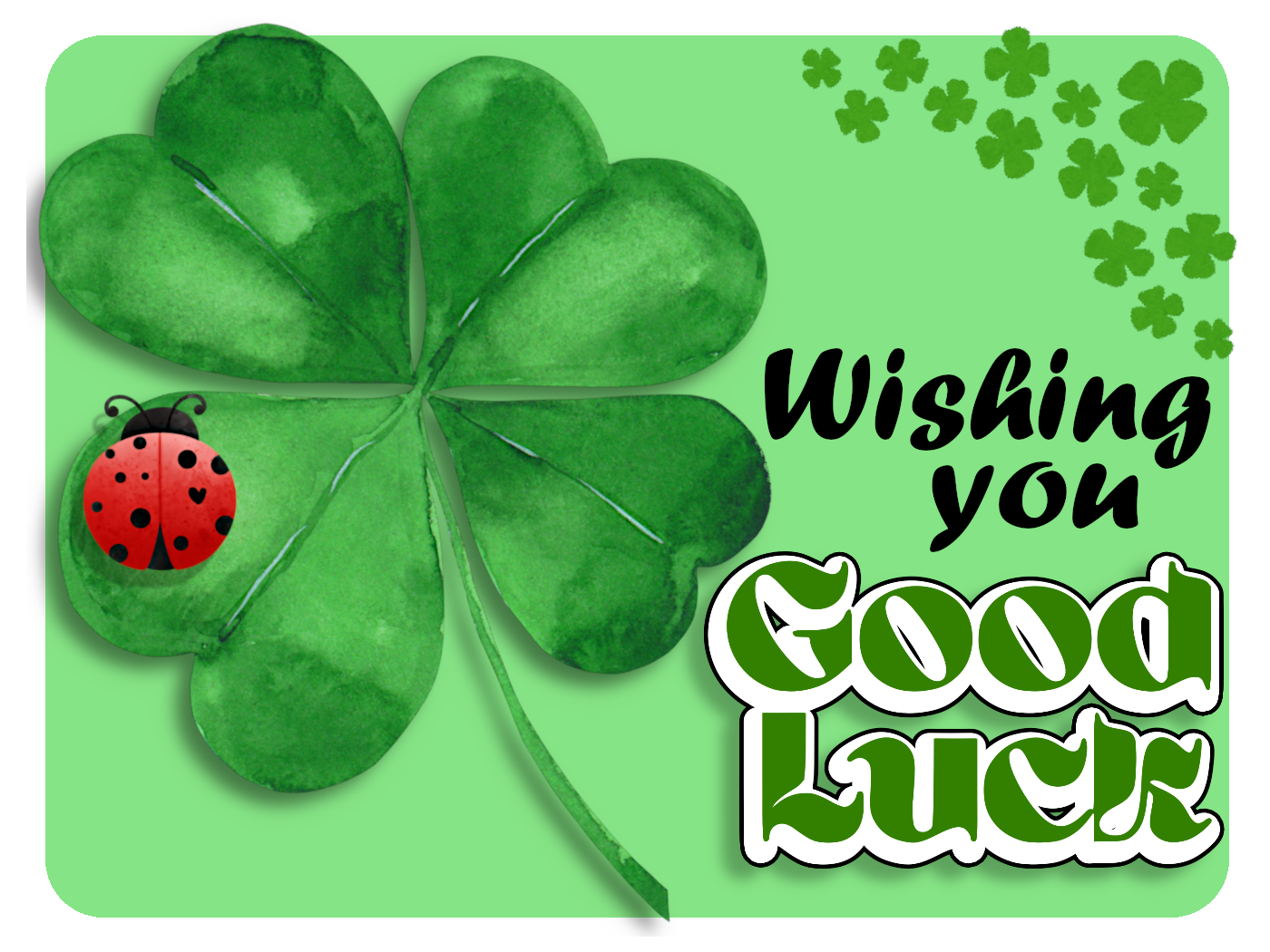 Good Luck Shamrock