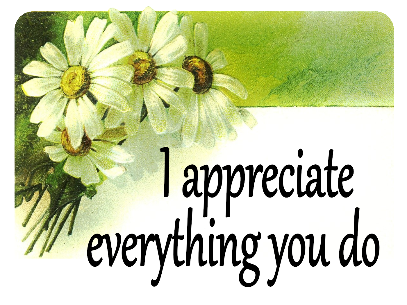 You're Appreciated