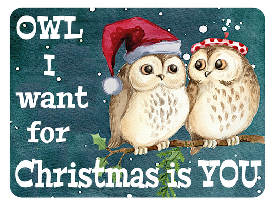 OWL I Want Is You