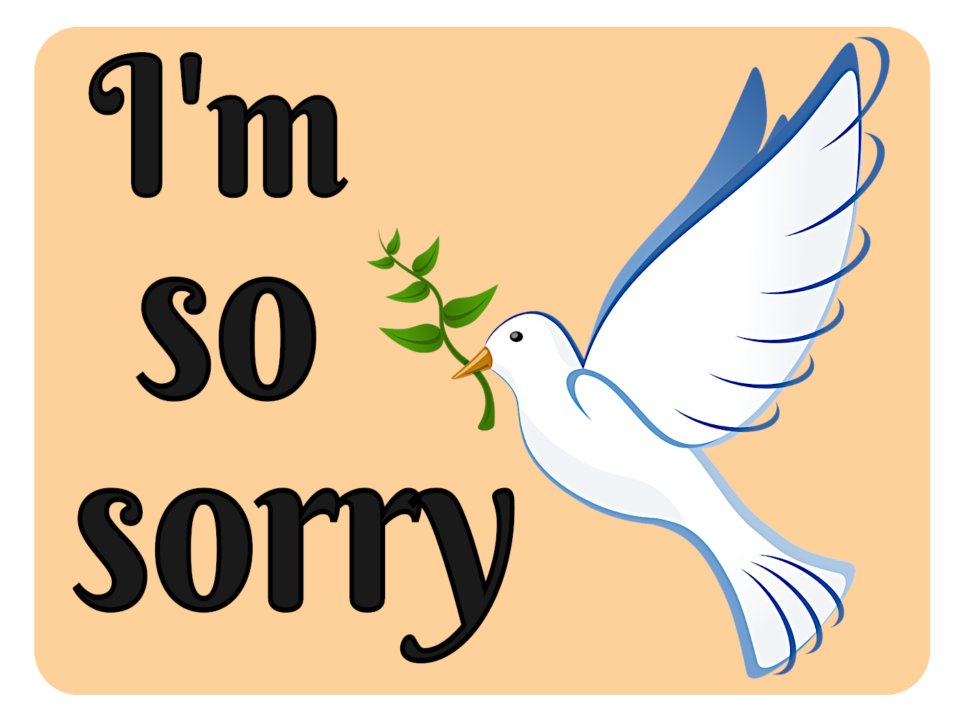 So Sorry