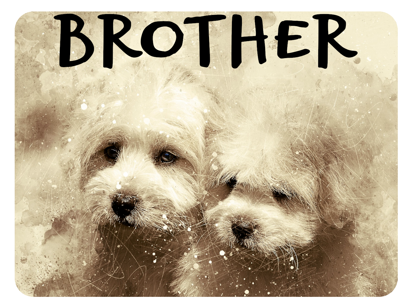 Brothers Always