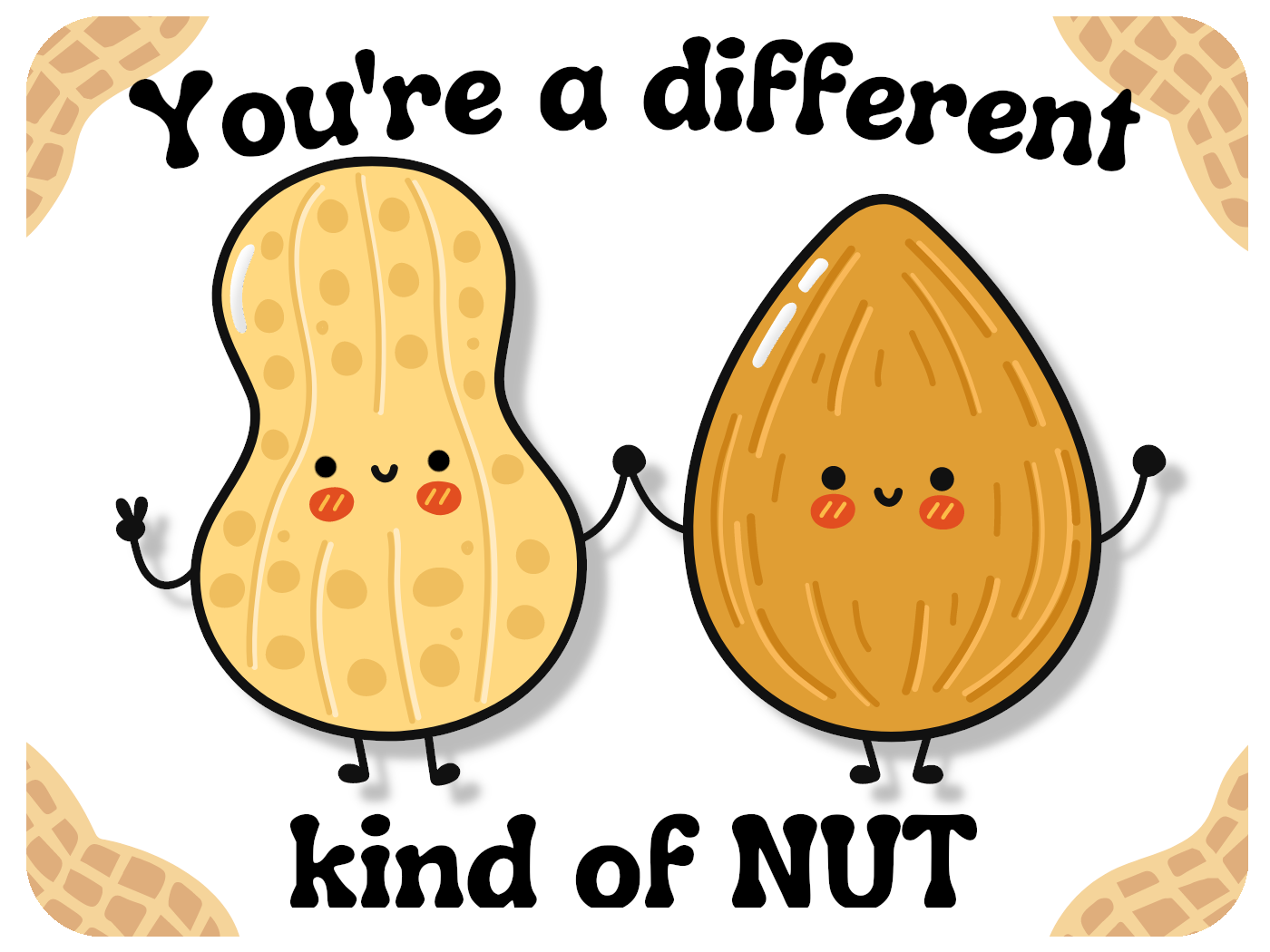 Different Kind Of Nut