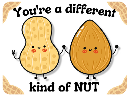 Different Kind Of Nut