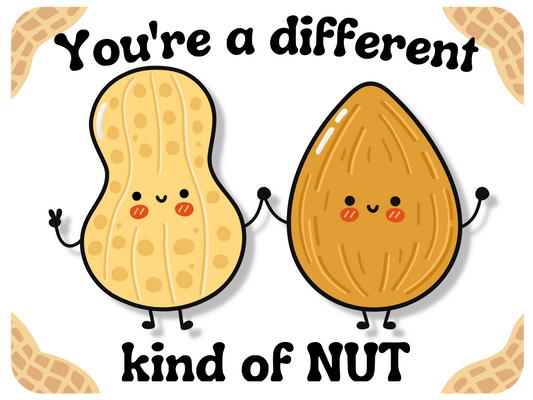 Different Kind Of Nut