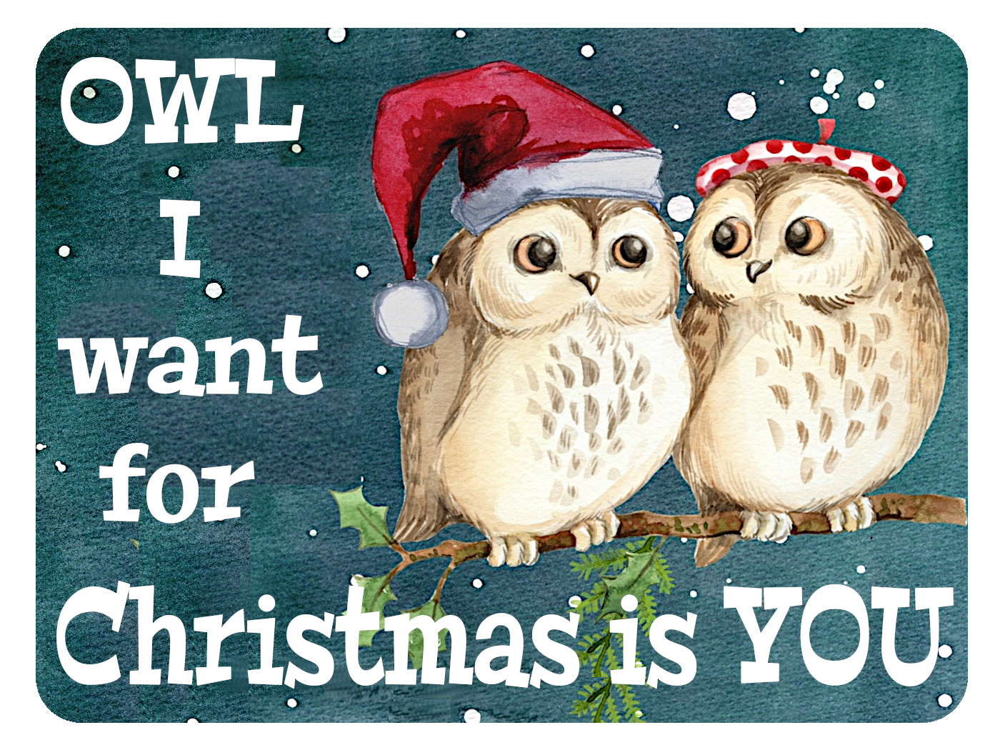 OWL I Want Is You