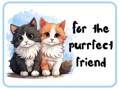 Purrfect Friend