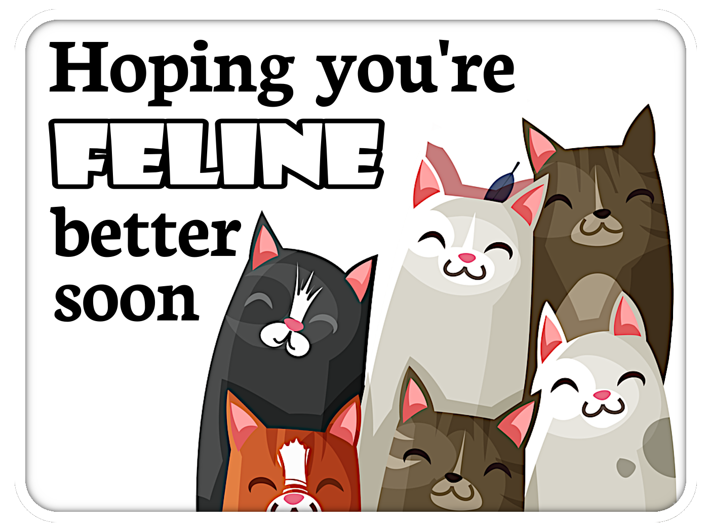 Feline Better Soon