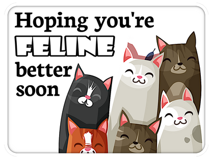 Feline Better Soon