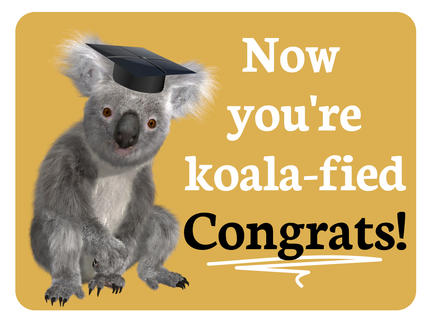 You're Koala-fied