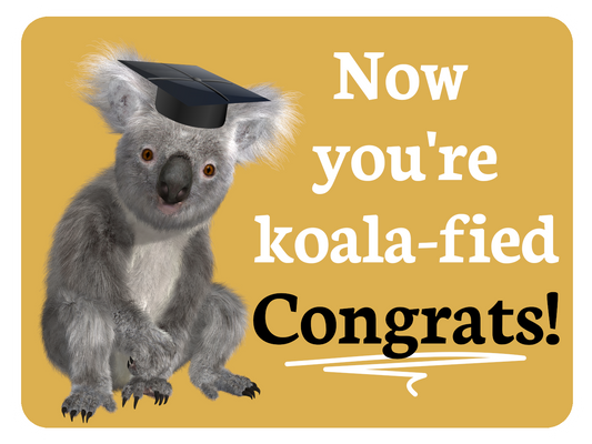 You're Koala-fied