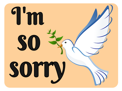 So Sorry